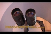 Microscop LERF