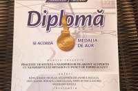 Diploma 6